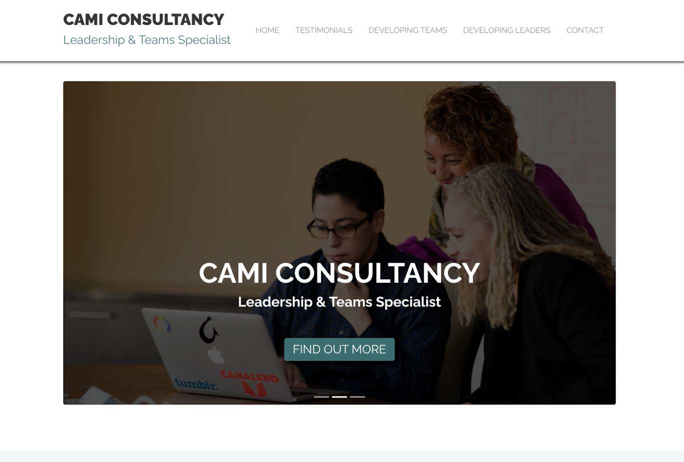 Cami Consulting Business Consultancy Website
